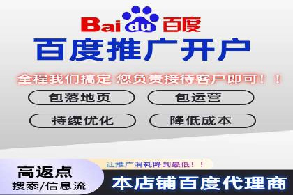 SEM服务在本地化营销中的应用案例